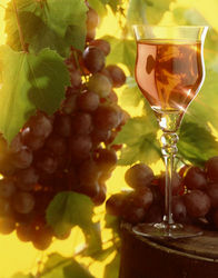 red wine_grapes